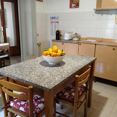 Apartment Lemon Tree House *