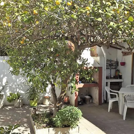 Apartment Lemon Tree House Oristano